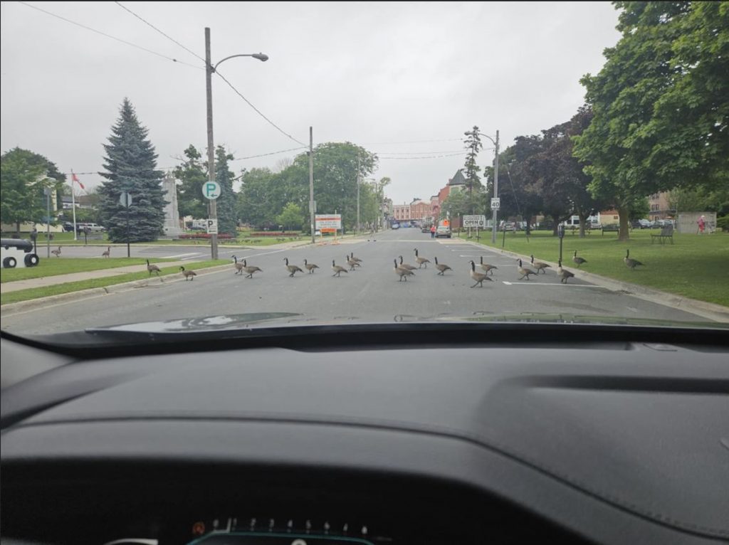 Friday Fictioneers Prompt